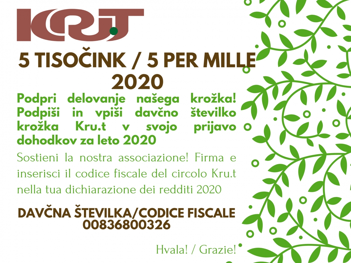 5 per mille